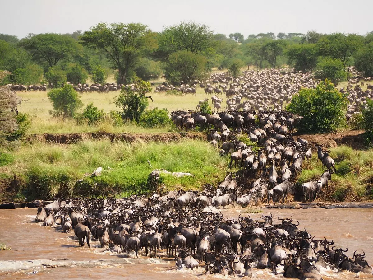 Tanzania